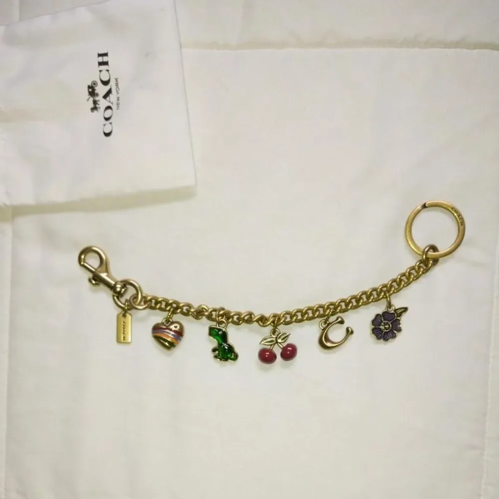 Coach multi Bag charm 🍒🐸🍎
